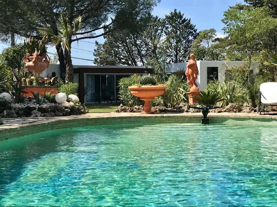 贝济耶La Cactee Singuliere住宿加早餐旅馆 外观 照片