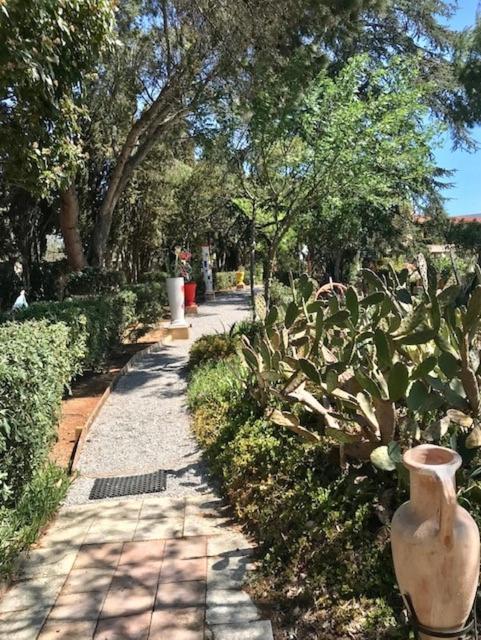 贝济耶La Cactee Singuliere住宿加早餐旅馆 外观 照片